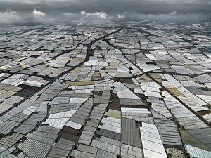 almeria's plastic greenhouses