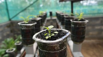 indoor agriculture