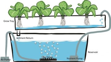 Hydroponics