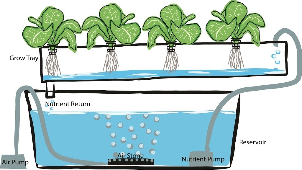 Growing Soil Free with Origin Hydroponics Association for Vertical
