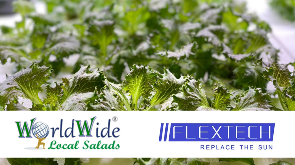 WorldWide Local Salads and Flextech Solutions are joining forces once again