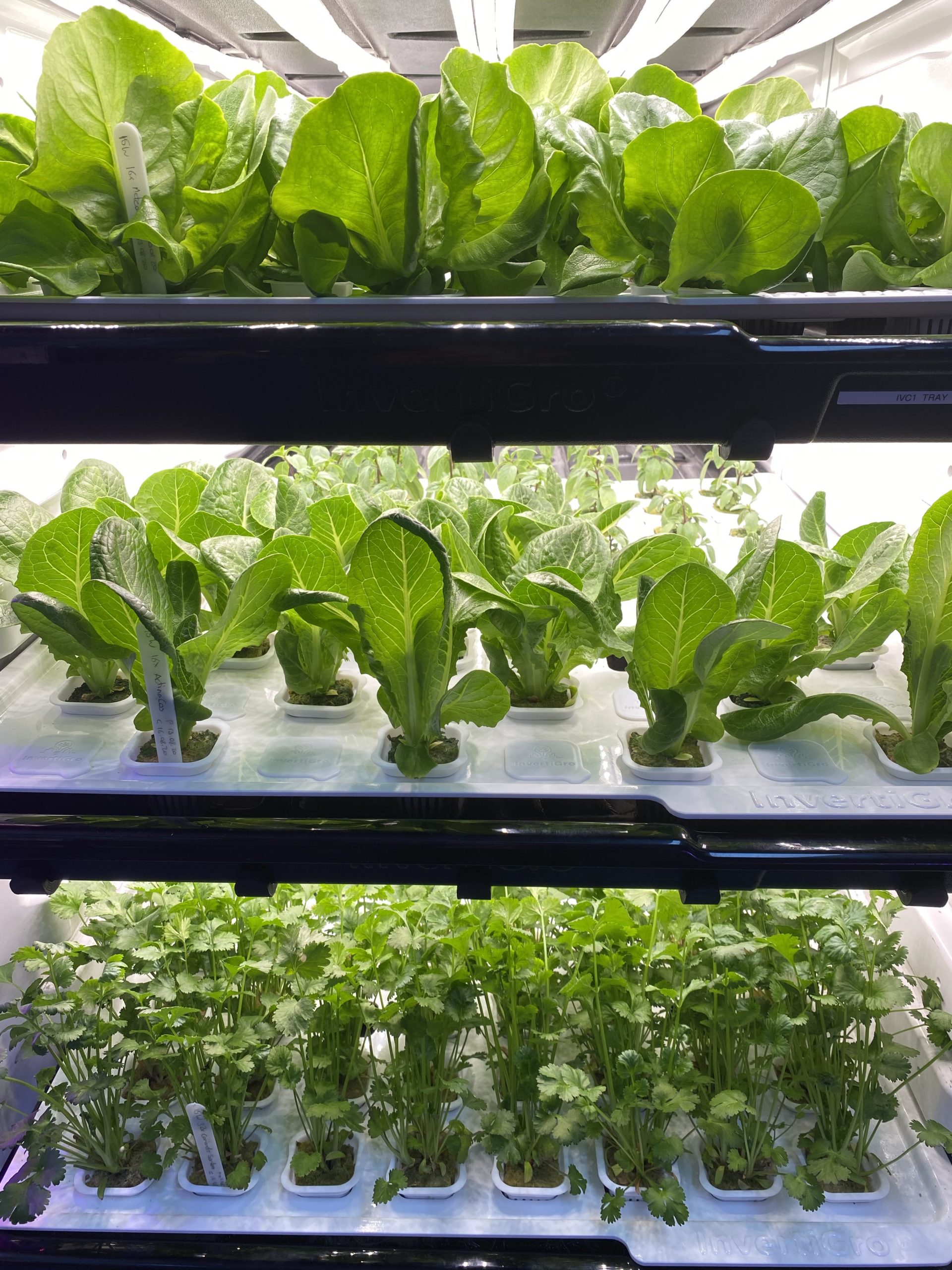 InvertiCube Tray Configuration - Association for Vertical Farming