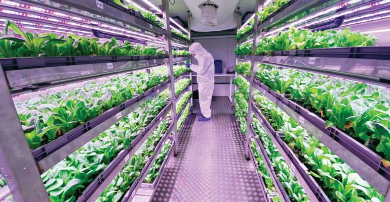 Urban Crop Solutions Again Named Indoor Farming Company of the