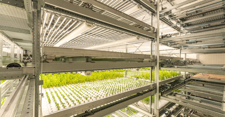 Industry Leaders fortify YASAI's Board of Directors - Association for  Vertical Farming